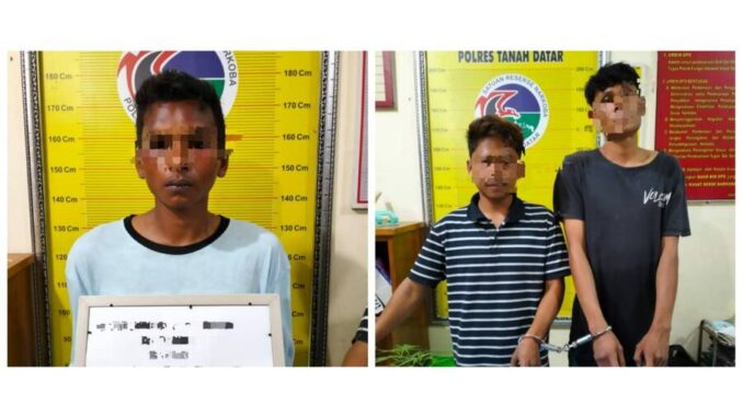 GRP (33) Ditangkap Tim Tarantula Satres Narkoba Polres Tanah Datar Diduga Pelaku Penyalahan Narkoba