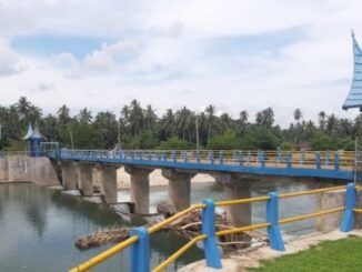 Pembiaran Proyek Irigasi Mangkrak