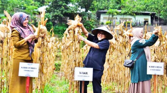 Wakil Wali Kota didampingi oleh Kabid Pemdes dan Kades Lunto Barat Menghadiri Sekolah Lapang Tanam Jagung