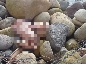 Seorang bayi perempuan yang masih bertali pusar ditemukan dipinggir Sungai