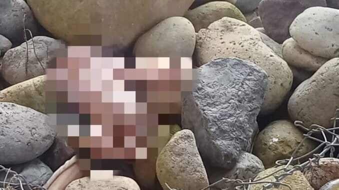 Seorang bayi perempuan yang masih bertali pusar ditemukan dipinggir Sungai