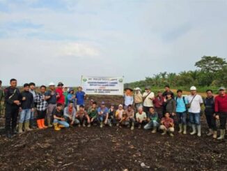 PT.Anam Koto tanam perdana kelapa sawit di Lahan PT.Tulas Sakti Jaya Muaro Kiawai Pasbar