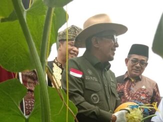 Bupati Eka Putra memanen Melon di Green House.