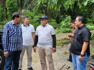 Bangunan Batu Bronjong Pasbar akan tuntas akhir tahun 2024.