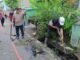 Gotong Royong perbaiki gang gayam di lingkungan II.