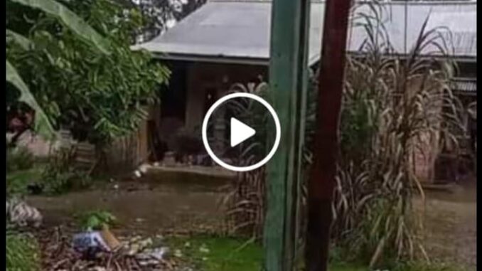 Oknum Mahasiswa KKN di Kampuang Tangah buang sampah ke ekarangan warga.
