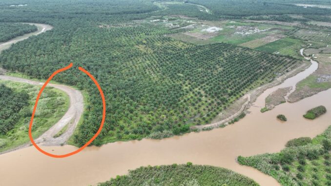 Pembuatan parit guna mengaliri Sungai Batang Masang.