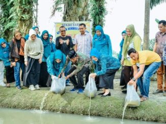 Pj Ketua TP PKK Kabupaten Batu berikan bibit tanaman kepada Desa Kwala Gunung.