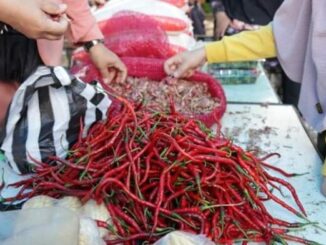 Cabai Merah (Ilustrasi).