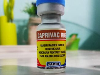 Caprivac RBS, 1000 Vaksin Rabies Inaktif yang dialokasikan Kota Sawahlunto dari Dinas Peternakan dan Kesehatan Provinsi Sumbar.