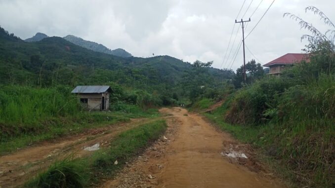 Jalan tanah di Jorong Kototinggi menuju Kubang Balambak yang belum tersentuh pembangunan,apalagi jalan untuk menuju kedua jorong ini dari Simpang Kapuak.