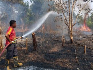 Petugas pemadam kebakaran Limapuluh Kota tengah memadamkan api pada areal hutan yang terbakar.