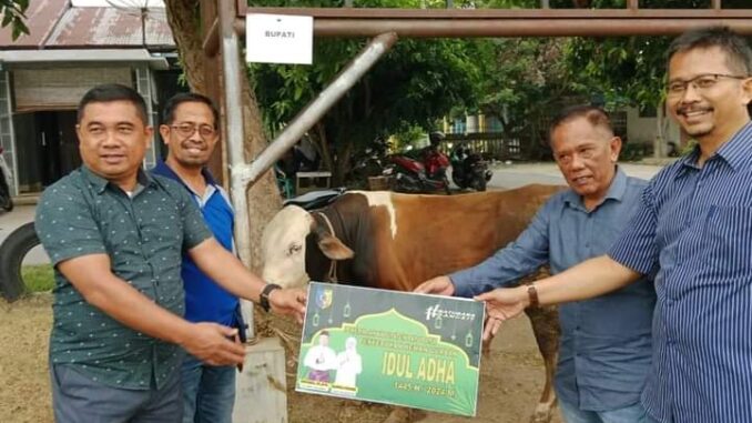 Penyerahan 30 sapi qurban dari Pj Bupati Batu Bara Nizhamul (diwakilkan Asisten I Rusian Heri) dari Pemkab Batu Bara di Lapangan Bola Kaki Blok 8 Kelurahan Lima Puluh Kota Kecamatan Lima Puluh.