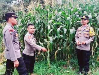 Bhabinkamtibmas Kelurahan Durian I BRIPKA Doni Julis, sukses mewujudkan ketahanan pangan.