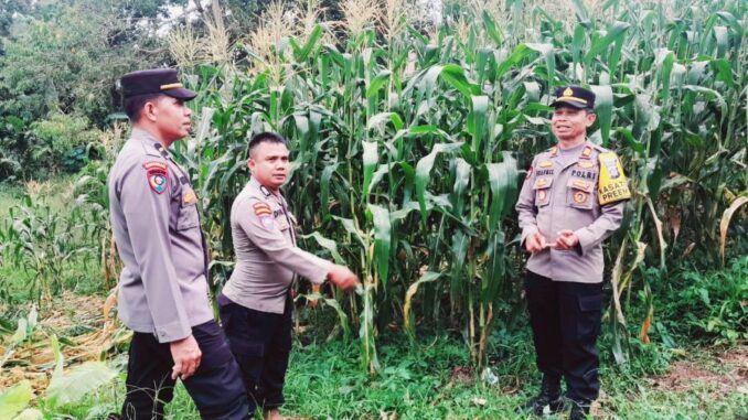 Bhabinkamtibmas Kelurahan Durian I BRIPKA Doni Julis, sukses mewujudkan ketahanan pangan.