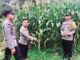 Bhabinkamtibmas Kelurahan Durian I BRIPKA Doni Julis, sukses mewujudkan ketahanan pangan.