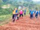 Kapolres Sawahlunto AKBP Purwanto Hari Subekti, S.Sos manfaatkan Lahan Kosong dibelakang Kantor Polres.