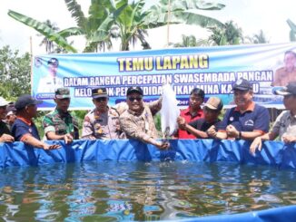 Pemko Payakumbuh gelar temu lapangan dan canangkan tanam serentak.