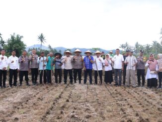 Pemko Payakumbuh siapkan 20 hektare lahan untuk mendukung program ketahanan pangan nasional.