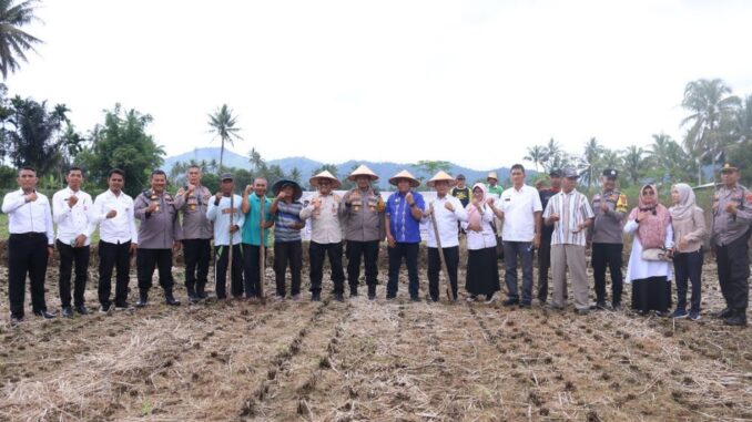 Pemko Payakumbuh siapkan 20 hektare lahan untuk mendukung program ketahanan pangan nasional.
