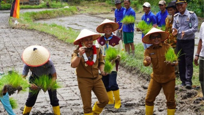 Wakil Bupati Limapuluh Kota Ahlul Badrito Resha saat melakukan Tanam Padi perdana untuk mendukung Program ASTA Cita ketahanan pangan.