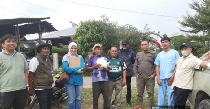 Dinas pertanian dan pangan Bukittinggi menggelar kegiatan Yandukeswan terhadap kuda bendi.